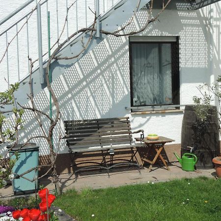 Apartement Am Kirschbaum Mommenheim Εξωτερικό φωτογραφία