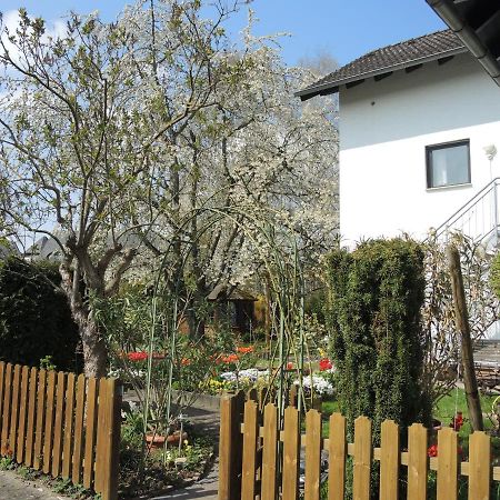 Apartement Am Kirschbaum Mommenheim Εξωτερικό φωτογραφία