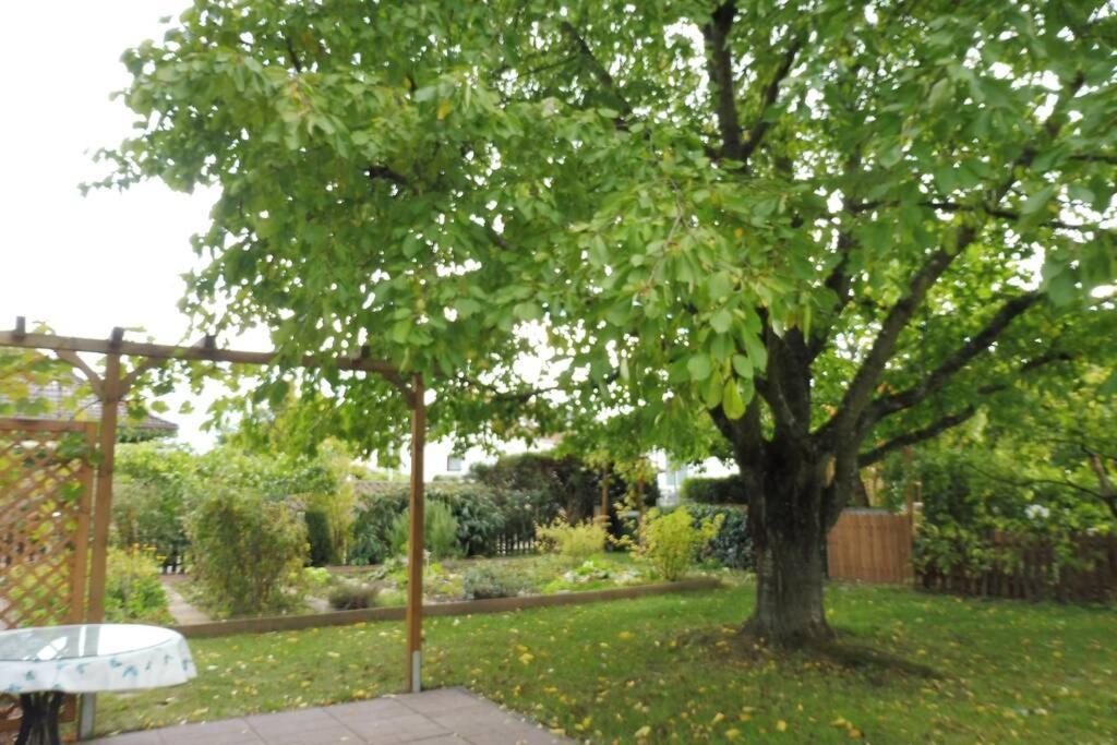 Apartement Am Kirschbaum Mommenheim Εξωτερικό φωτογραφία