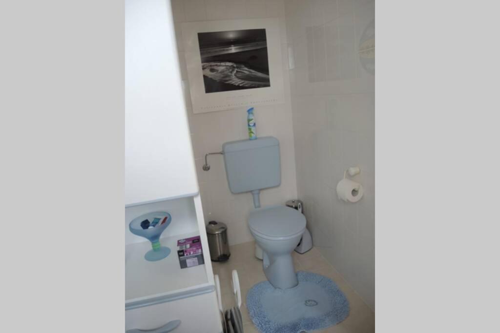 Apartement Am Kirschbaum Mommenheim Εξωτερικό φωτογραφία