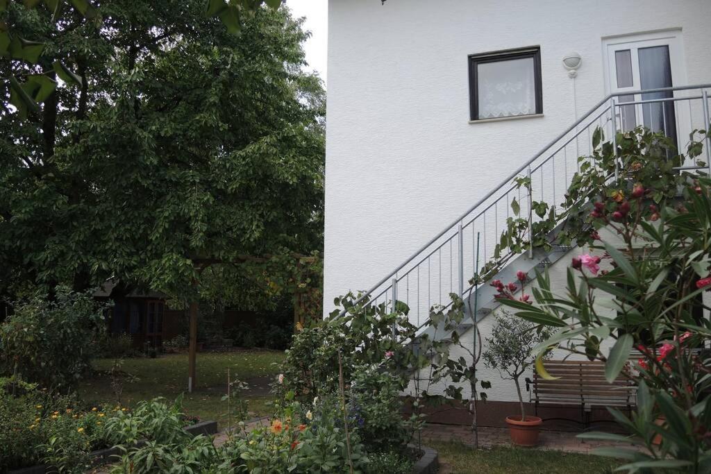 Apartement Am Kirschbaum Mommenheim Εξωτερικό φωτογραφία