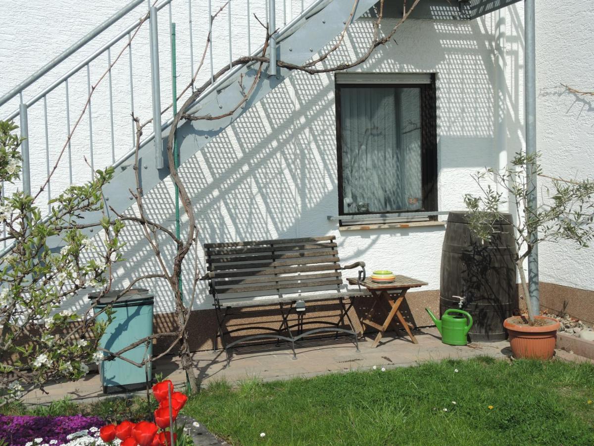 Apartement Am Kirschbaum Mommenheim Εξωτερικό φωτογραφία